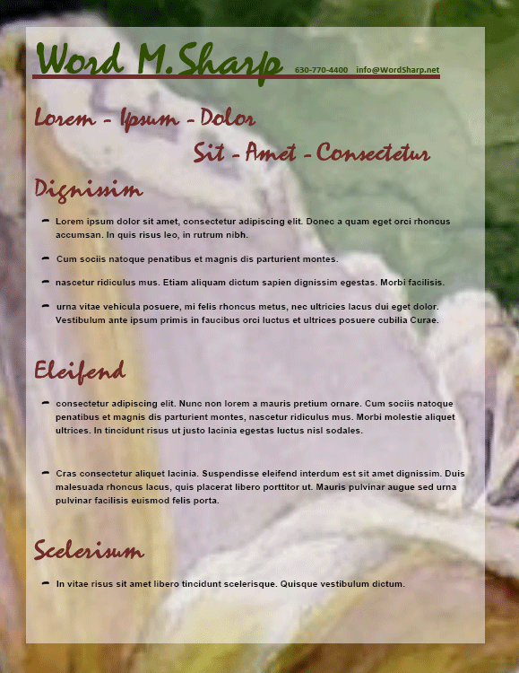 San Antonio resume 2